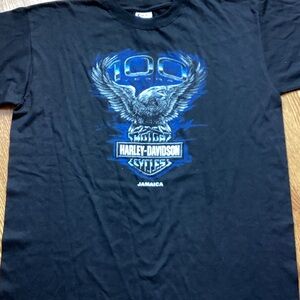 Harley-Davidson Men's Black and Blue Eagle T-Shirt